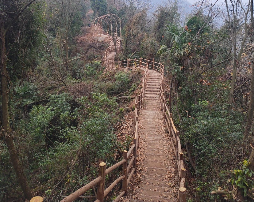 1775963116693775.jpg 9.jpg