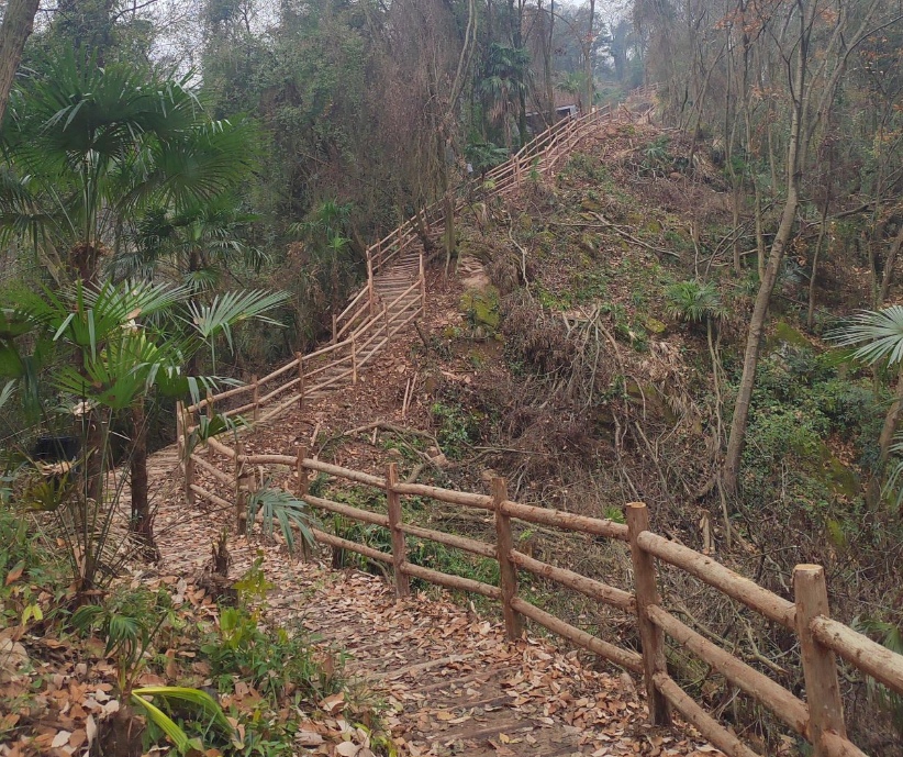 1775963119804270.jpg 11.jpg