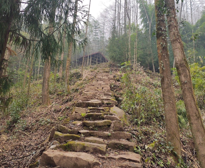 1775963125107583.jpg 12.jpg