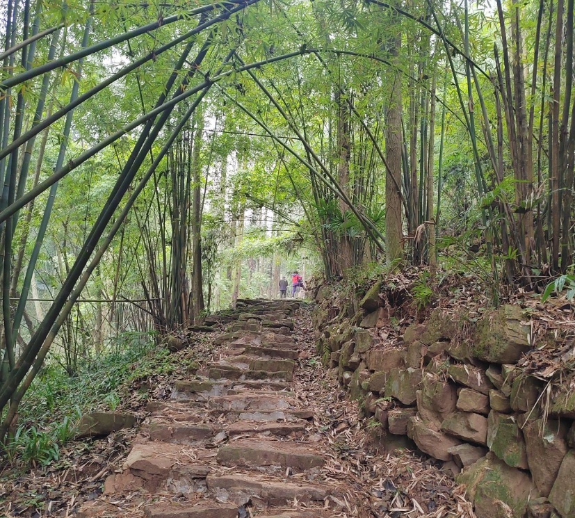 1775963138516892.jpg 13.jpg