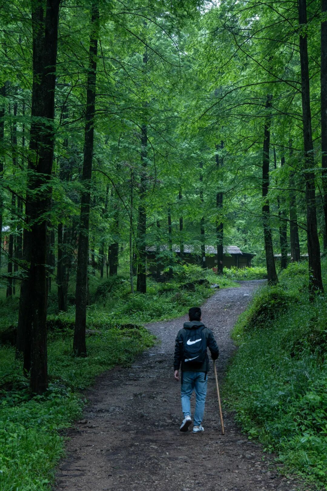 640.jpg