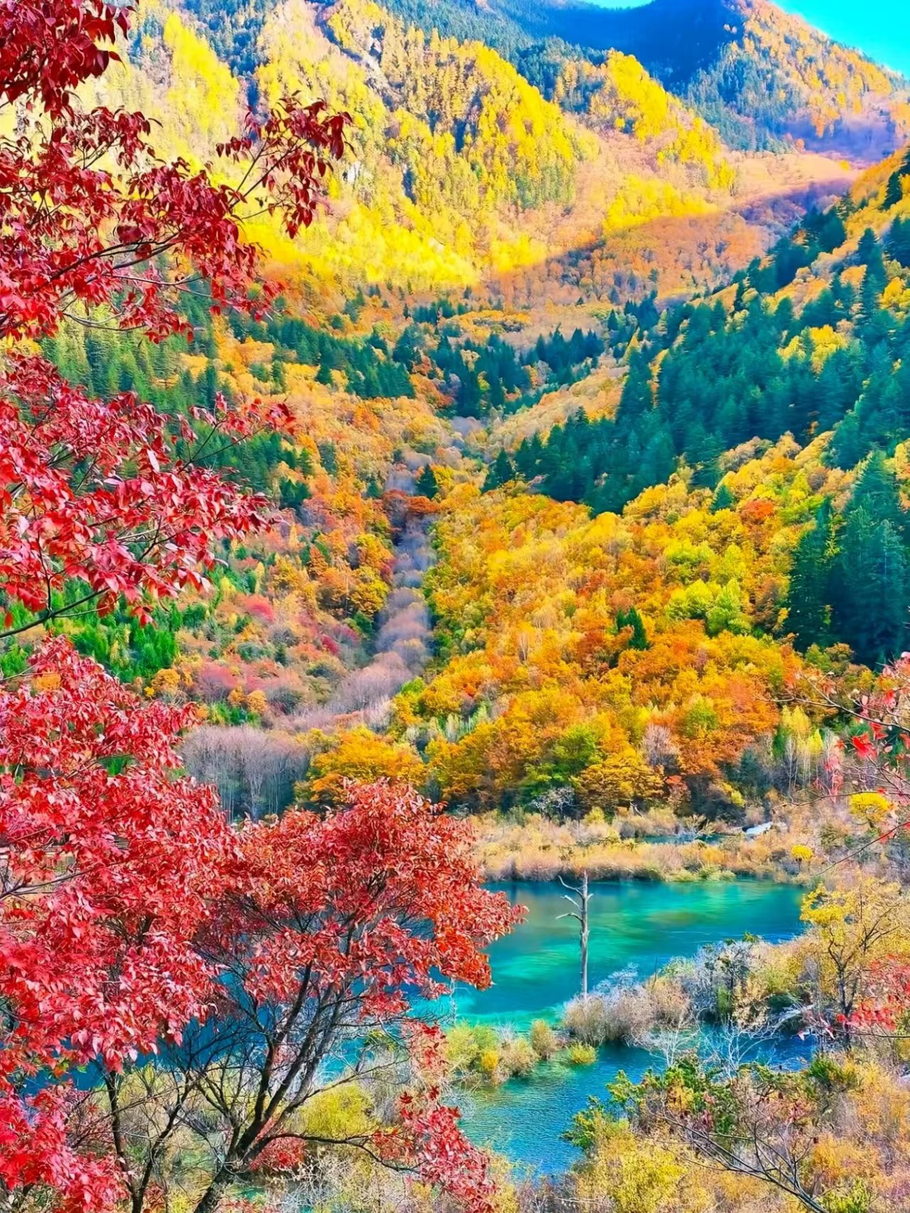 799977607a3a1311933e5391ca313e4e.jpg