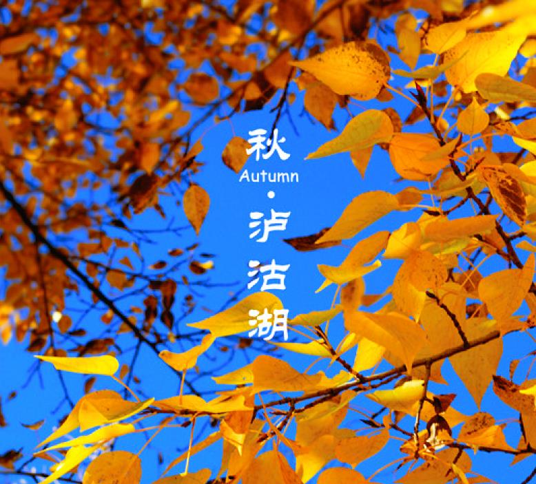 【金秋|泸沽湖】慵懒的季节，醉倒在诗情画意中，不知归途