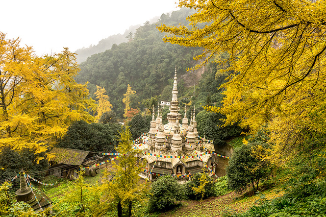 【银杏|白岩寺】银杏染秋，走进藏传佛教圣地秋韵白岩寺