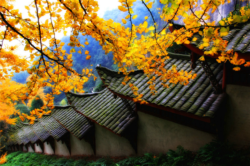 【B线|白岩寺穿越】经典穿越、千年古刹，秋赏九子银杏