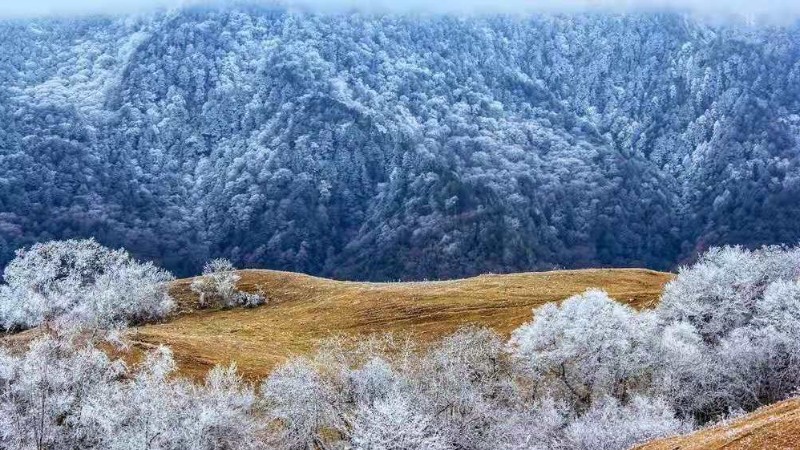 【雾凇|甘海子】 初冬最美雾凇,甘海子秒变牧歌童话