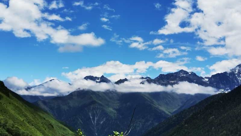 【穿越|巴朗山云海】漫步高山草甸，一路走一路云海为伴