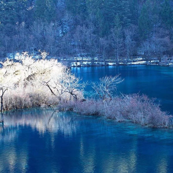 【冰雪九寨沟】人间天堂，揭开冬日仙境九寨的神秘面纱