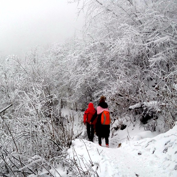 【冰雪|九峰山】 成都周边耍雪圣地,偶遇你冬天的第一场初雪