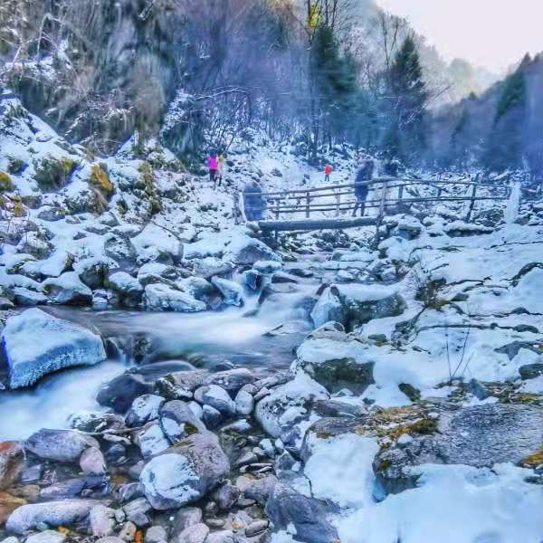 【偶遇初雪|厄尔娜沟】魔幻冰雪森林红石公园,品尝雪地铁板烧