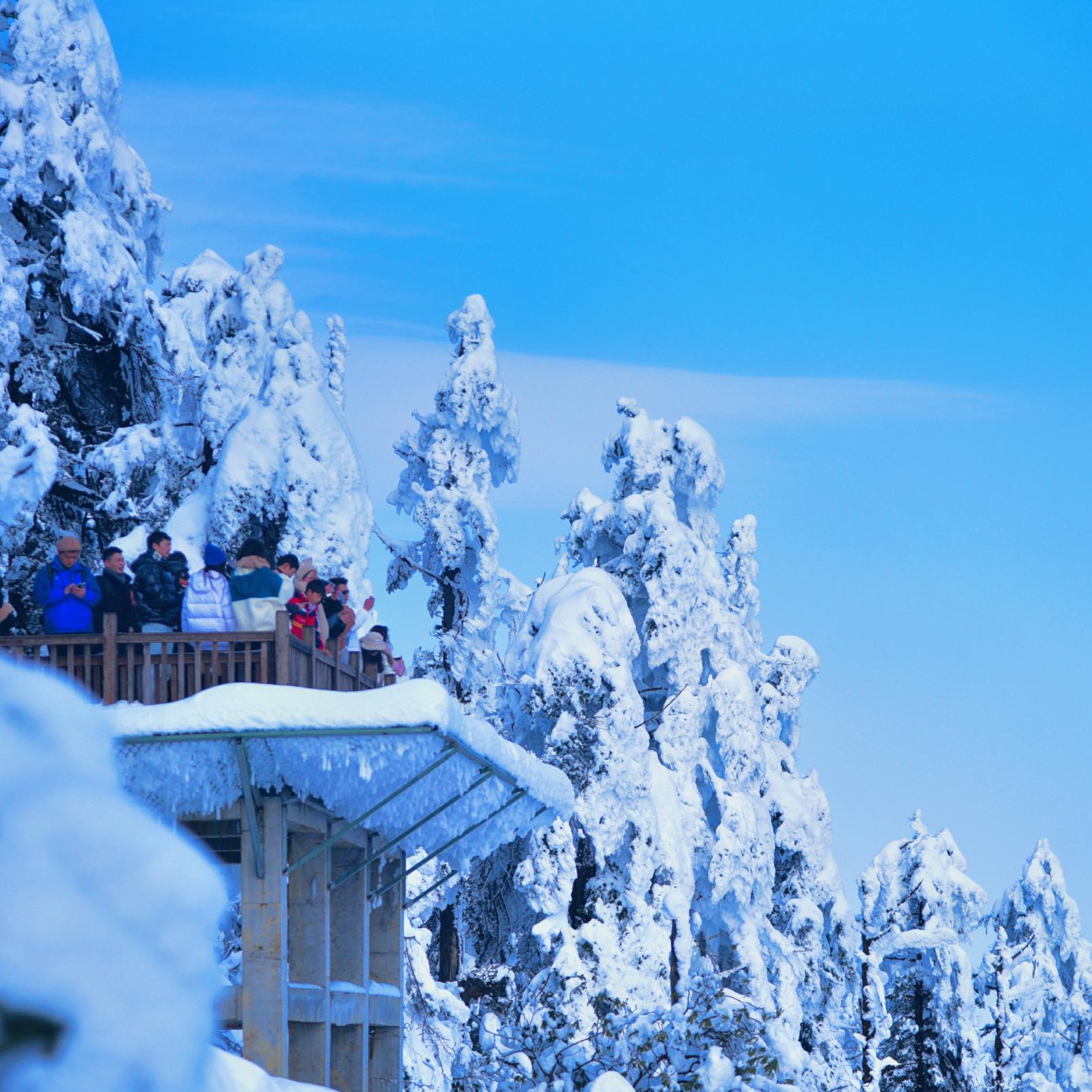 【冰雪|瓦屋山】(含门票)踏雪赏景、观云海、觅佛光、走进南国的林海雪原