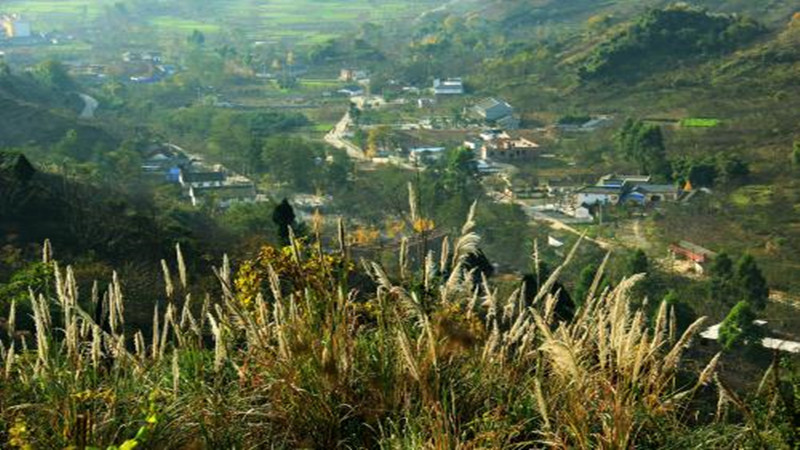 【花海穿越|葛仙山穿白鹿】成都周边经典穿越线路，打卡五龙洞白鹿小镇