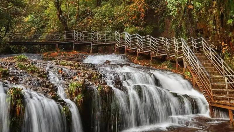 【打卡奖牌|龙苍沟秋色】追寻阔叶彩林，轻徒步龙苍沟之美，宫崎骏同款森林
