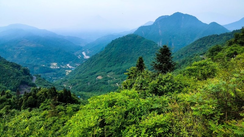 【野百合|蒲虹路穿虹口】打卡都江堰”秋名山“,漫赏山谷野百合盛开