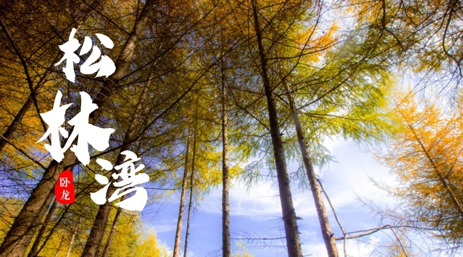 松林湾