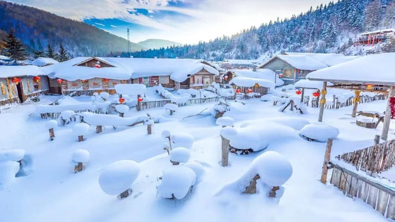 【梦幻雪乡7日】东北冰雪世界，感受极致的美，玩最尽兴的雪
