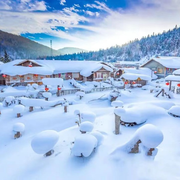 【梦幻雪乡7日】东北冰雪世界，感受极致的美，玩最尽兴的雪