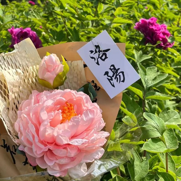 【穿越晋豫深度7日游】洛阳牡丹甲天下，少林功夫震九州！奔赴一场国色天香的武林盛宴！