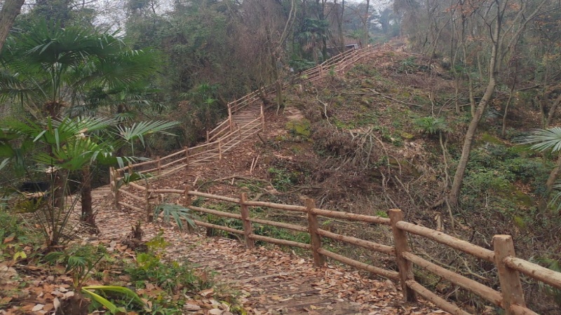 【蓥华山森林步道龙吟段】徒步什邡龙门之巅一号栈道,踏林海步道解锁森系治愈时光