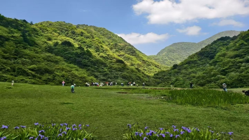 【云端草甸|江油云锣山】 藏在雁门深处的高山秘境,徒步治愈天花板