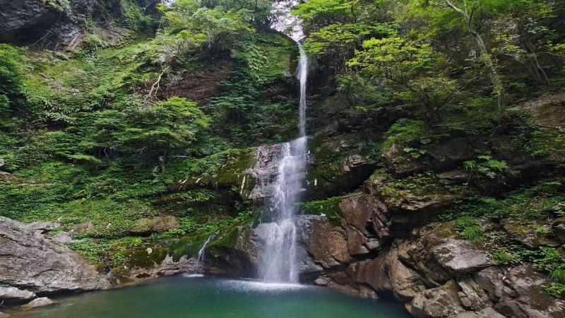 【秘境寻踪|藏王寨】藏在龙门山脉的千年秘境徒步，山野吸氧天花板