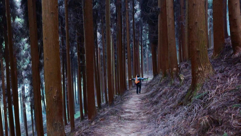 【浪迹山野第5期|钟鼎寺大环线】什邡红峡谷穿越钟鼎寺到红枫岭，森林与峡谷的碰撞