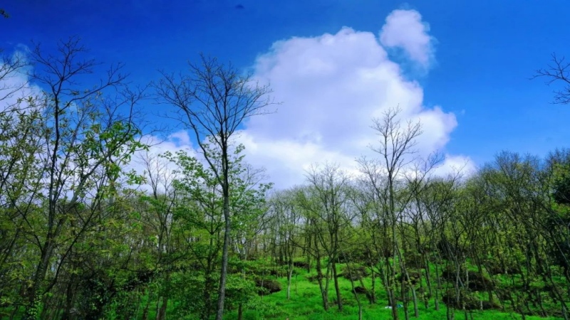 【浪迹山野第6期|上元古道大环线】13km环徒千年上元古道，尽享绿野仙踪下的自愈之旅！