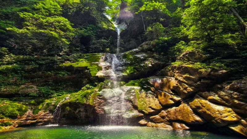 【消夏避暑|老君山】千年硝洞老君沟，清泉瀑布藏王寨，96%森林覆盖率天然氧吧！
