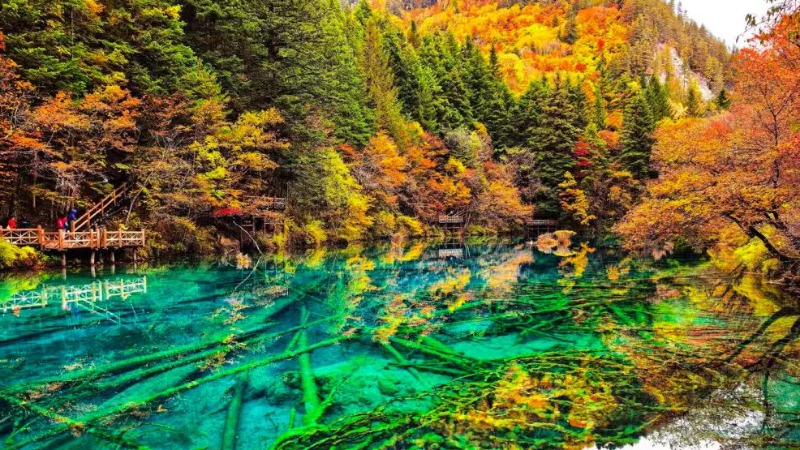 【秋色|九寨沟天母湖】秋染山海，双境寻幽！两日漫游，解锁川西最治愈的秋日秘境