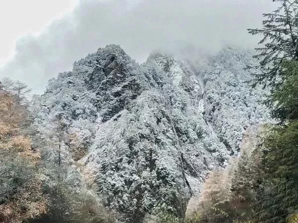 微信图片_20181204165747.jpg