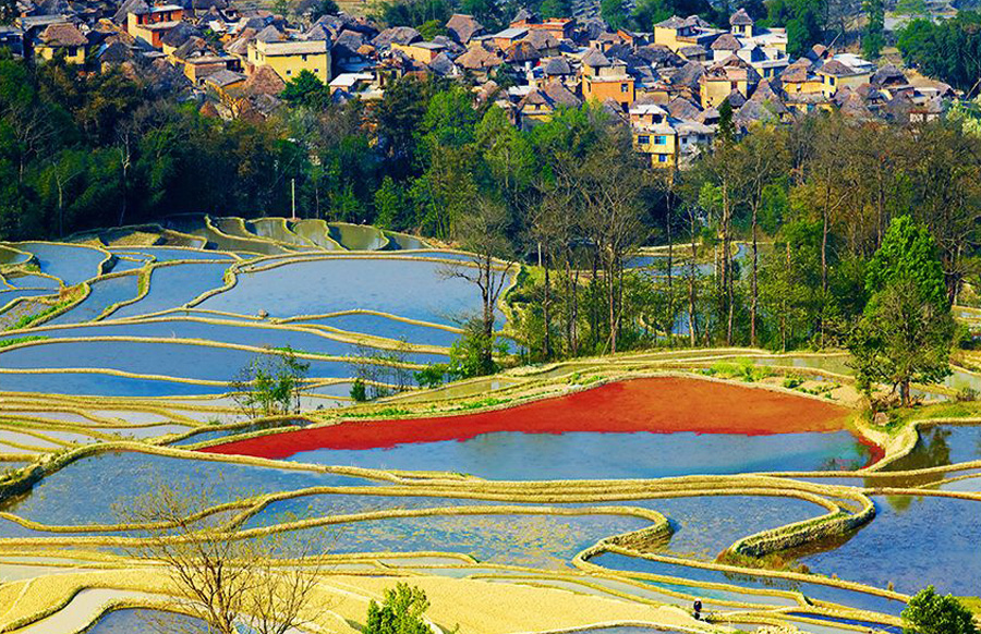 菁口民俗村.jpg