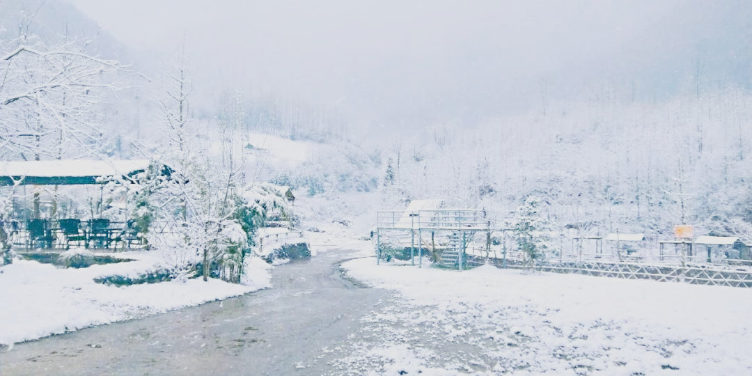 微信图片_20190102162940.jpg