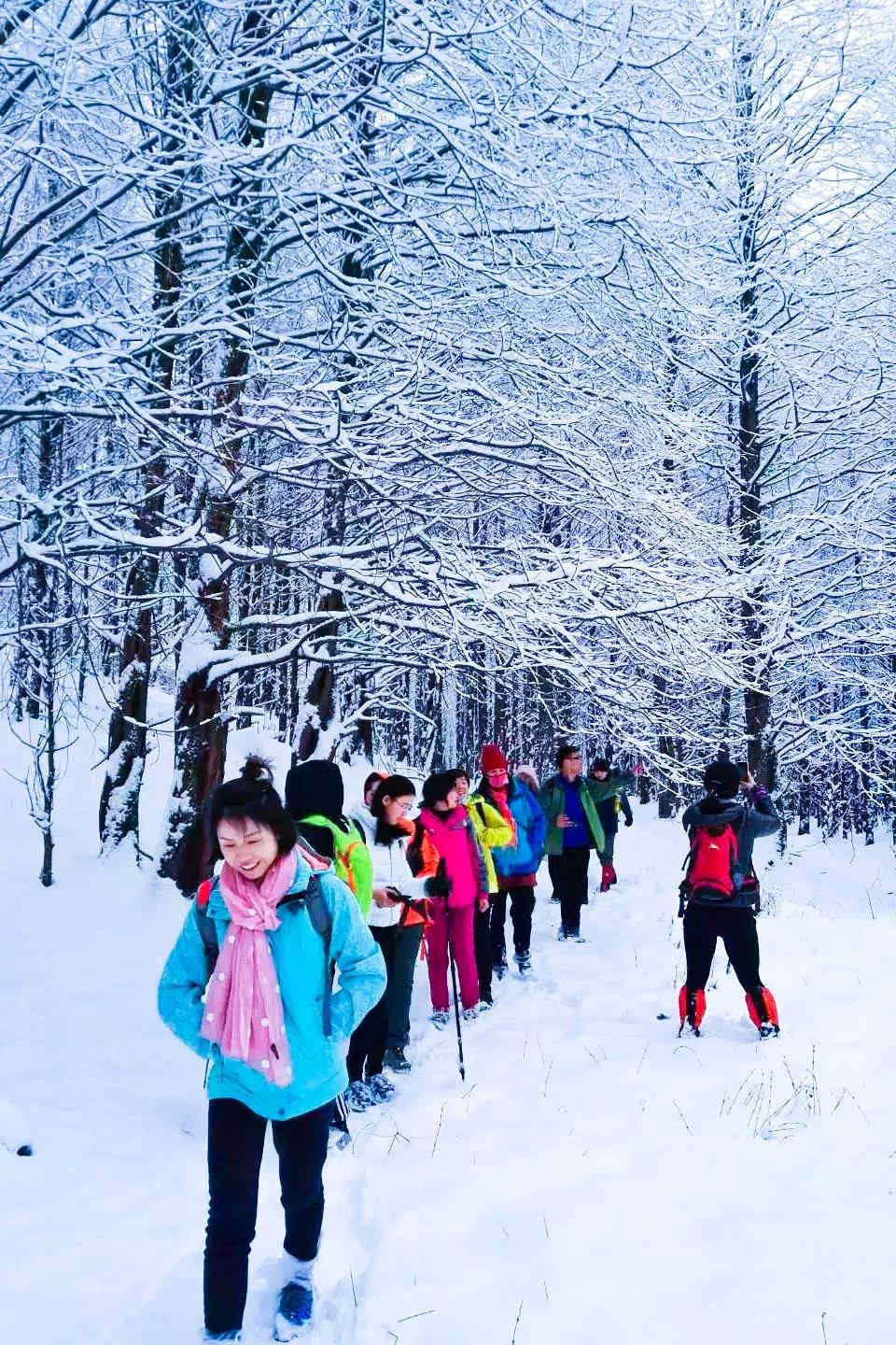 微信图片_20190102163012.jpg