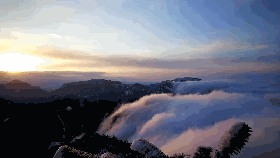 1.gif