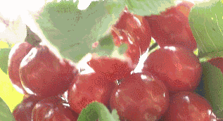 1554798062352010.gif 1554798062352010.gif