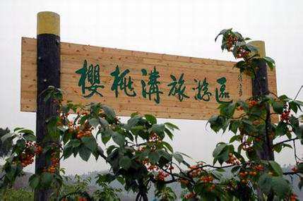 1554798162866216.jpg 1523346258130063.jpg