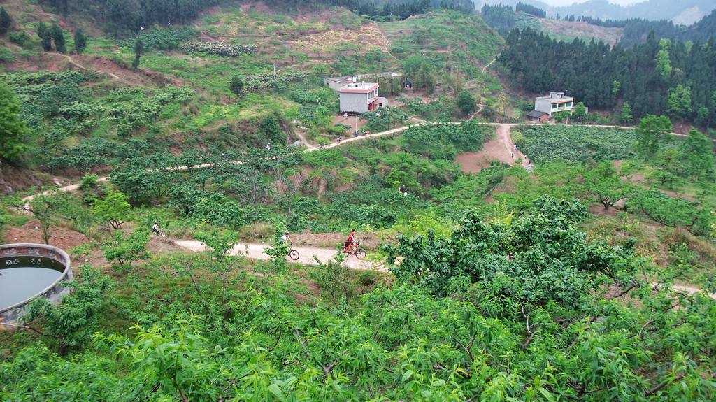 1554798182447095.jpg 1523346306101658.jpg