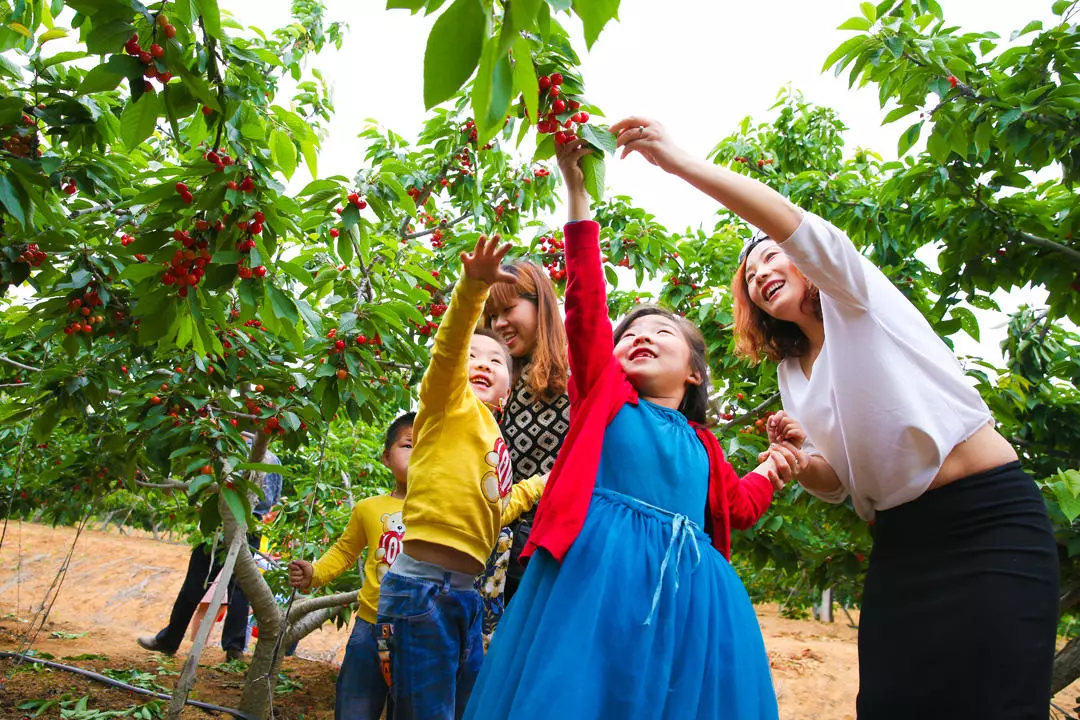 1554798266761600.jpg 1.jpg