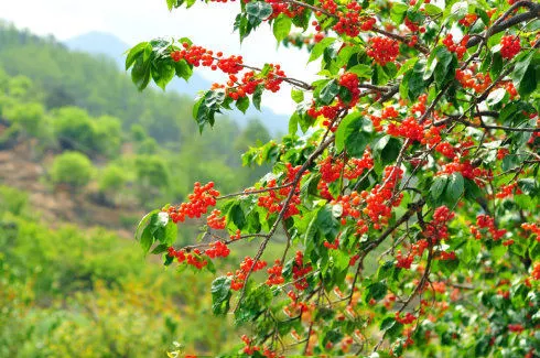 1554798307142037.jpg 3.jpg