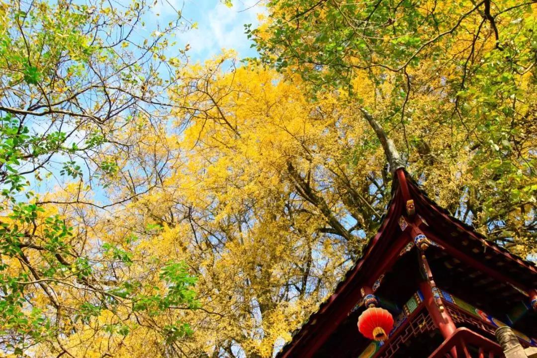 微信图片_20191103140224.jpg