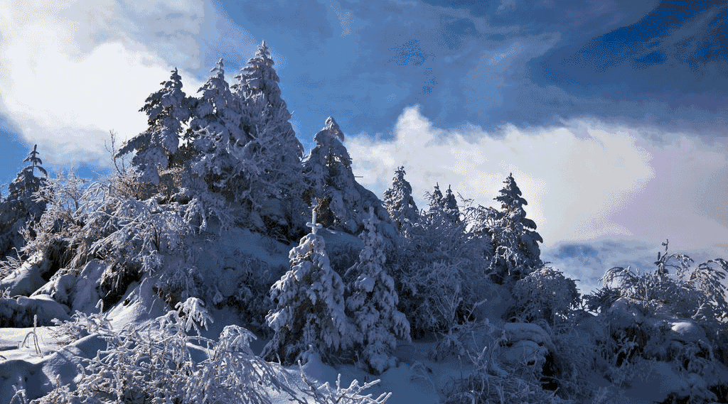 69b5f83696e74752a02674bb13be40f8.gif