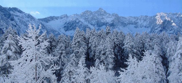 微信图片_20191127151151.gif