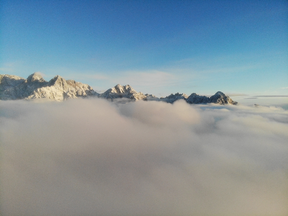 1575336263296515.jpg e9ca2fe4f62c0406a3c1d14cf1f0fd9.jpg