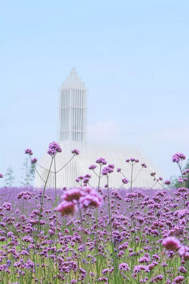 2020_0515_bb7c83c7j00qacrv5002ic000hs00qnm.jpg