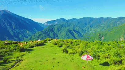 微信图片_20200714142202.gif