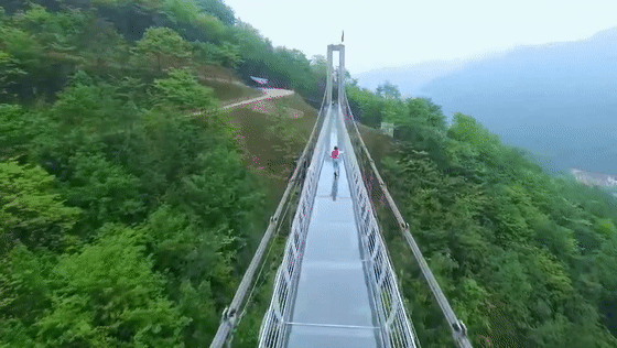 微信图片_20200720165900.gif