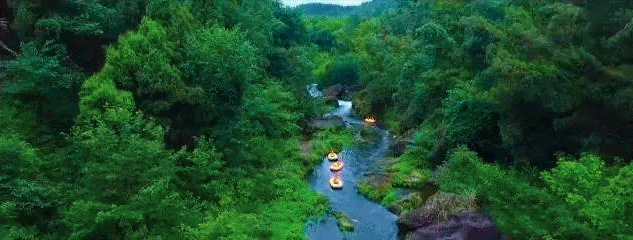 微信图片_20200721141323.gif