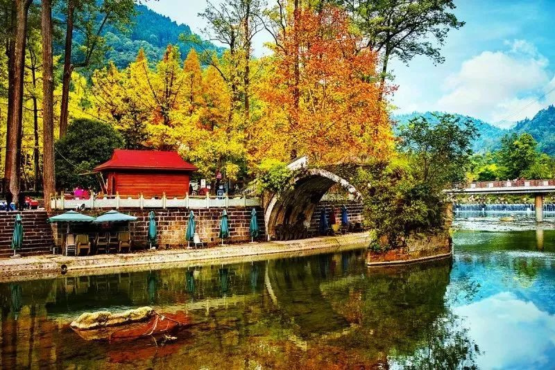 微信图片_20201103095001.jpg