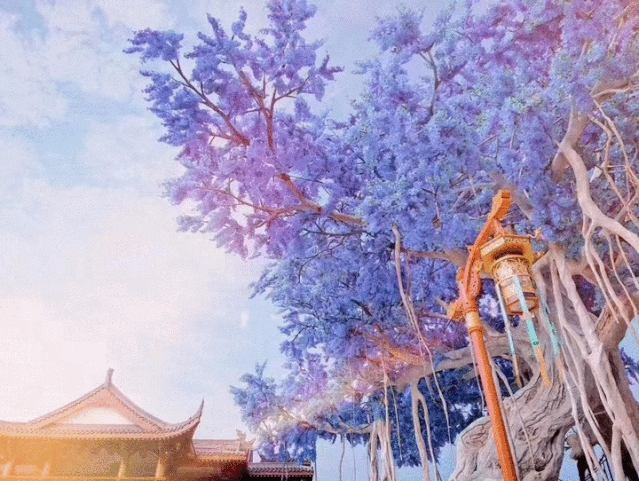 微信图片_20201111134914.gif