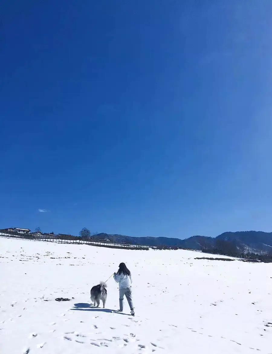 微信图片_20201204114038.jpg